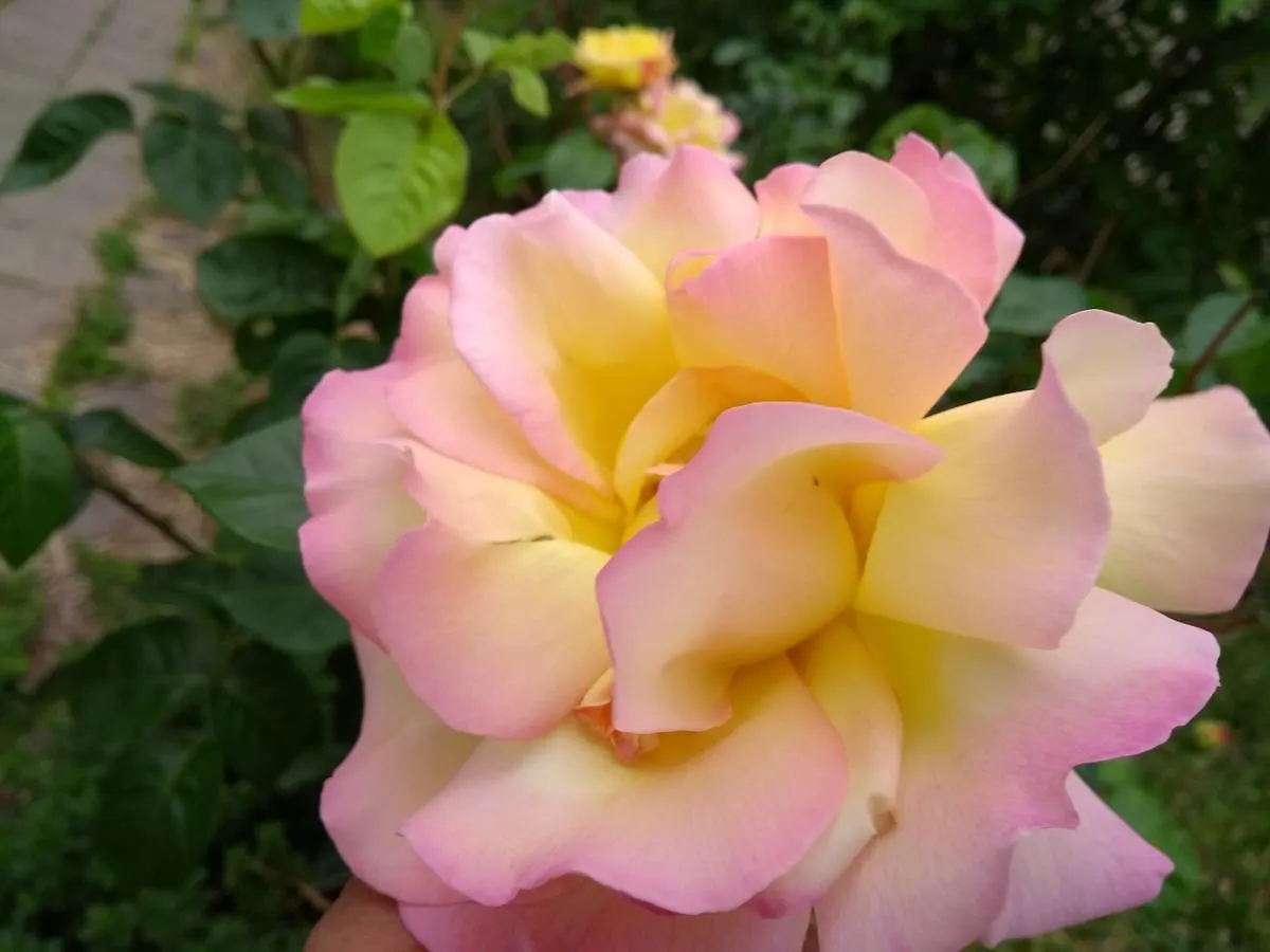Prague Retro Challenge And Garden Guest House Czech Republic